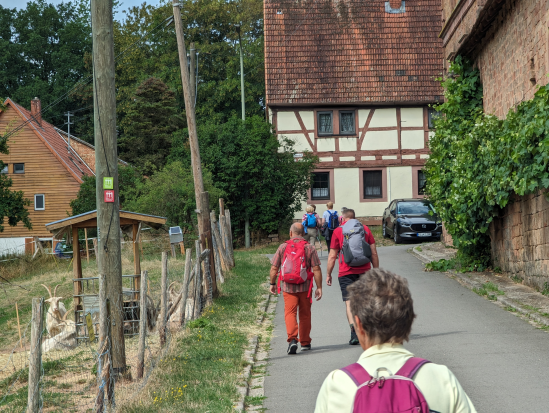 Karlstalschlucht Trippstadt 
23. Juli 2023